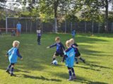 Mini Toernooitje op Sportpark Het Springer met S.K.N.W.K. JO7 en De Jonge Spartaan JO7 (87/174)